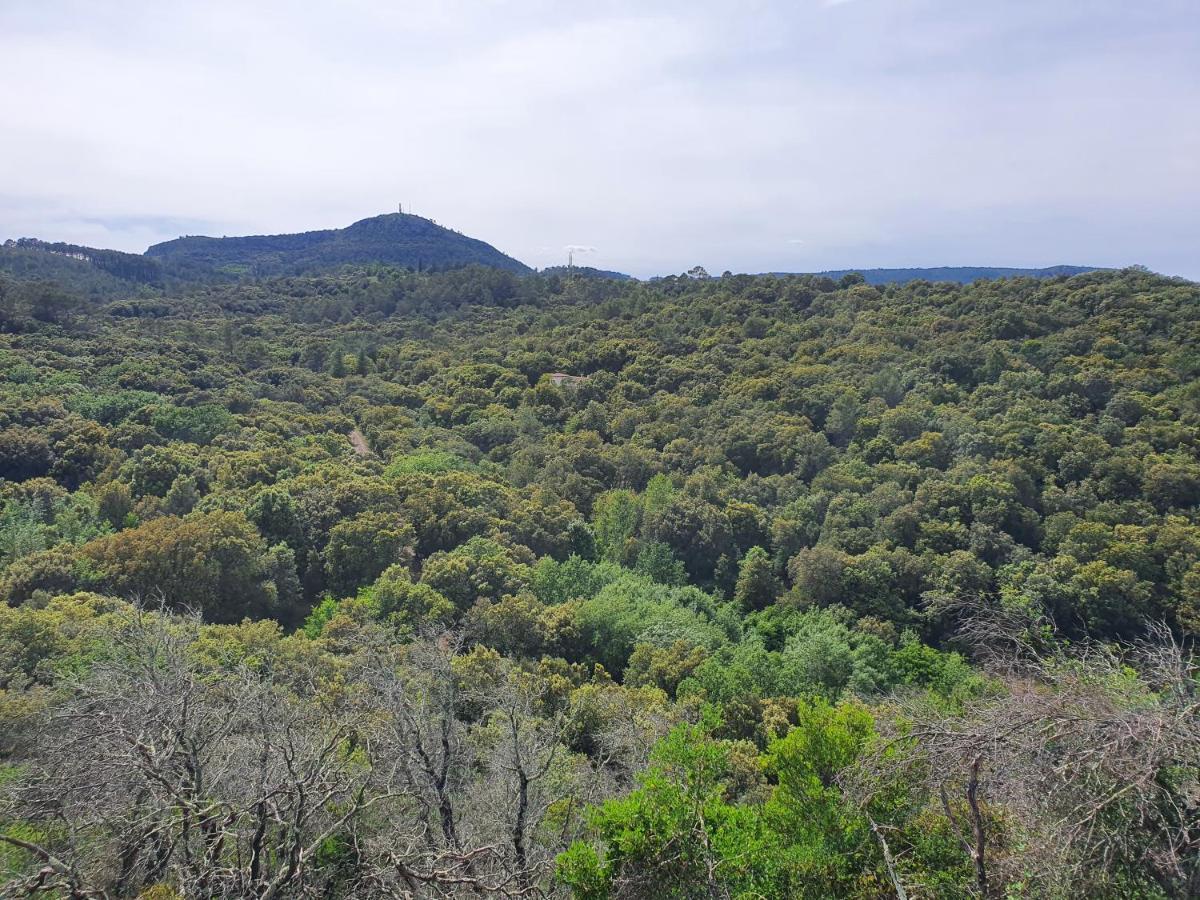 La Bastide Bleue Βίλα Anduze Εξωτερικό φωτογραφία